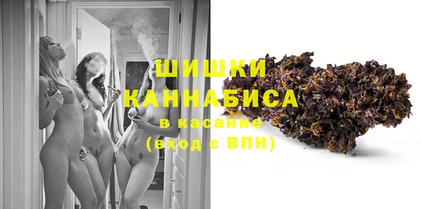 дмт Краснослободск