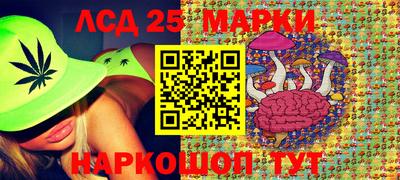скорость Дубна