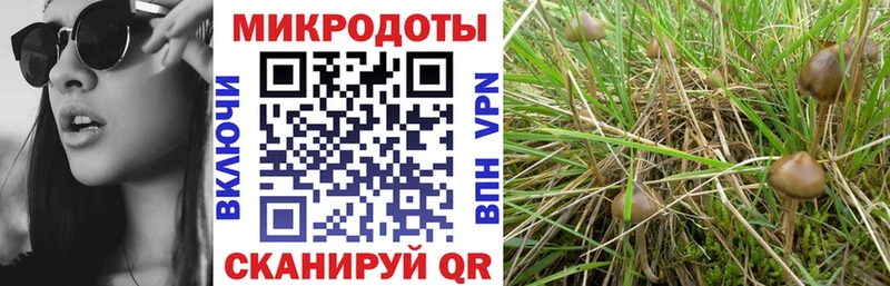 Галлюциногенные грибы мицелий  где можно купить наркотик  Сухой Лог 