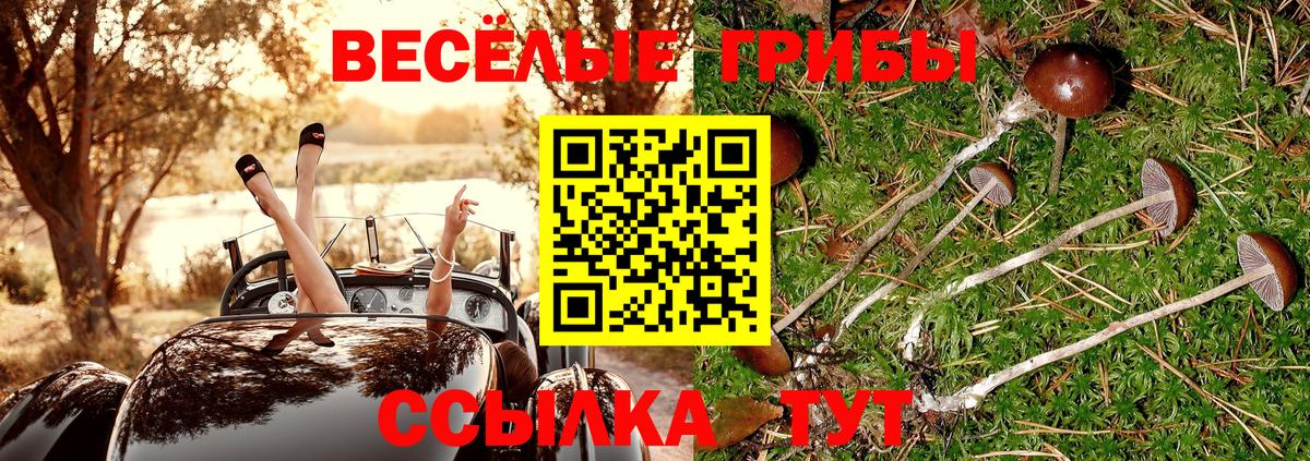 наркошоп  Вход с VPN  Псилоцибиновые грибы Cubensis  Сухой Лог  Галлюциногенные грибы мухоморы 