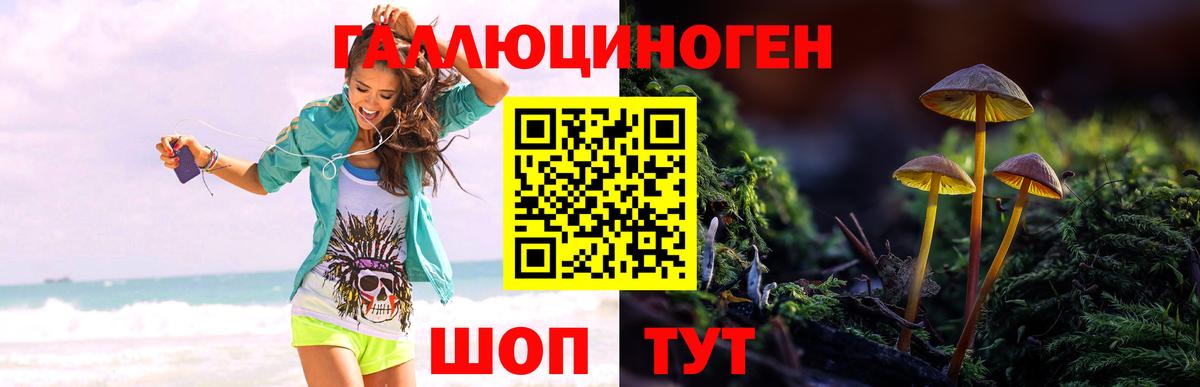 Псилоцибиновые грибы MAGIC MUSHROOMS Сухой Лог